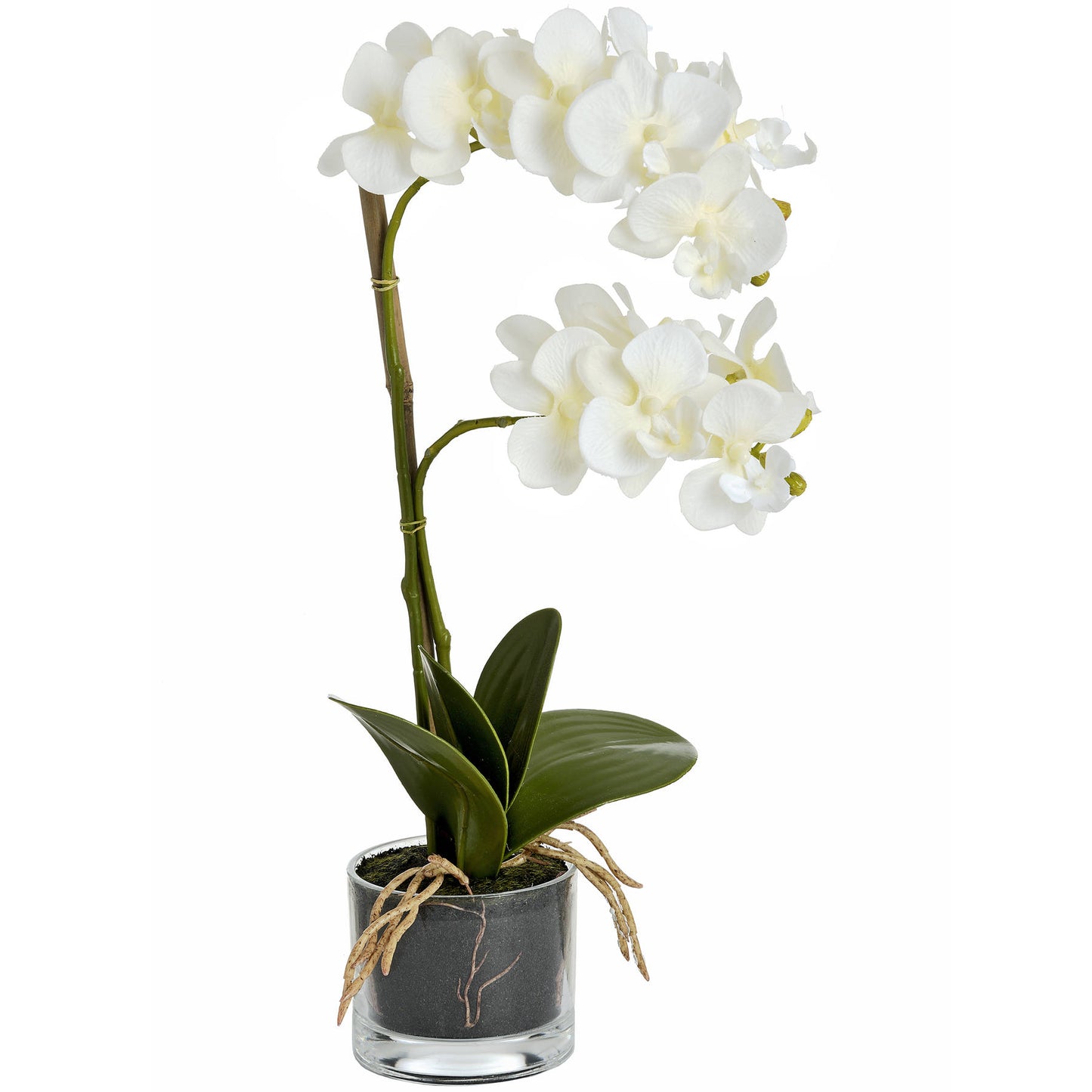 https://www.hill-interiors.com/images/giant/17402-c.jpg