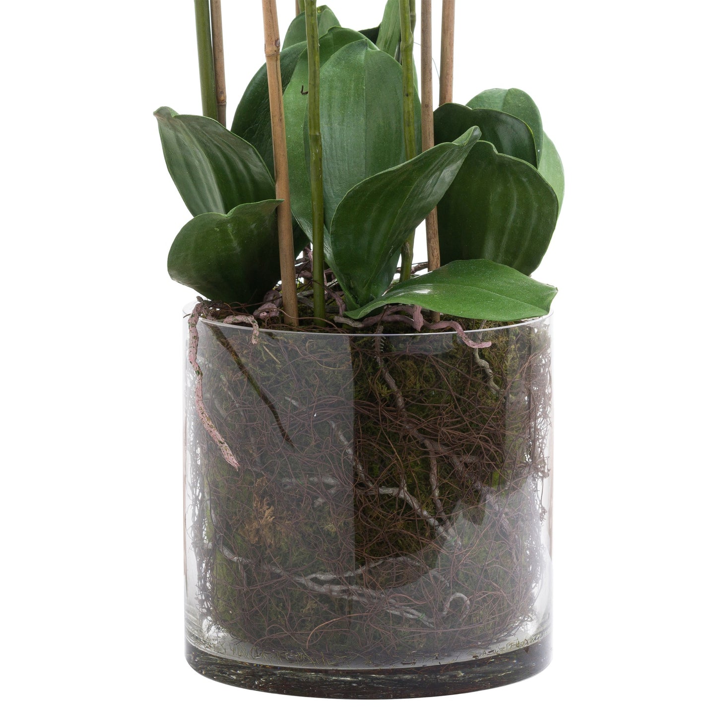 https://www.hill-interiors.com/images/giant/21228-b.jpg