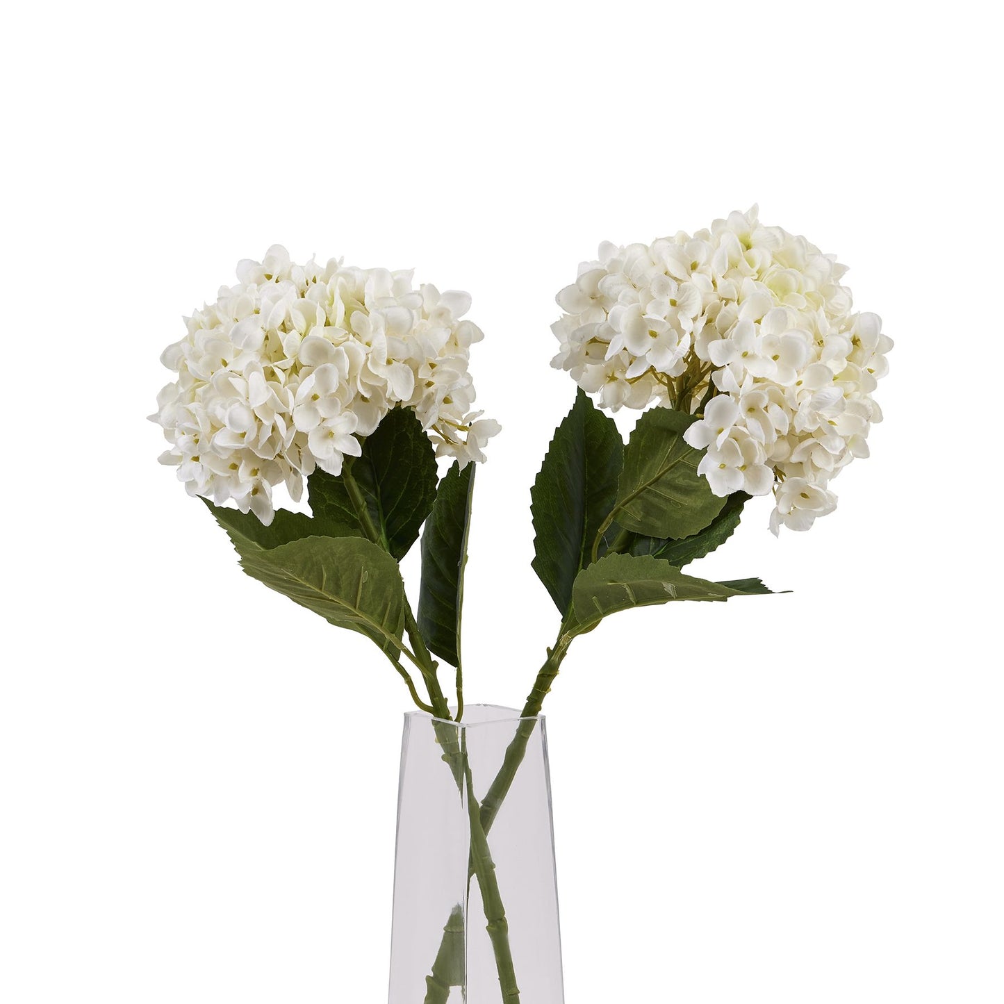 https://www.hill-interiors.com/images/giant/22632-d.jpg