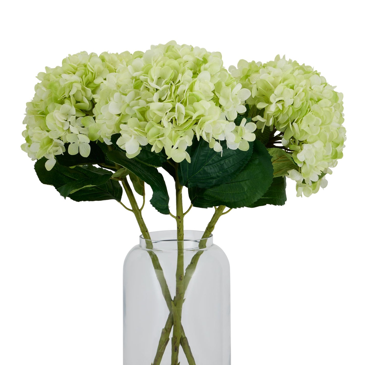 https://www.hill-interiors.com/images/giant/22730-d.jpg