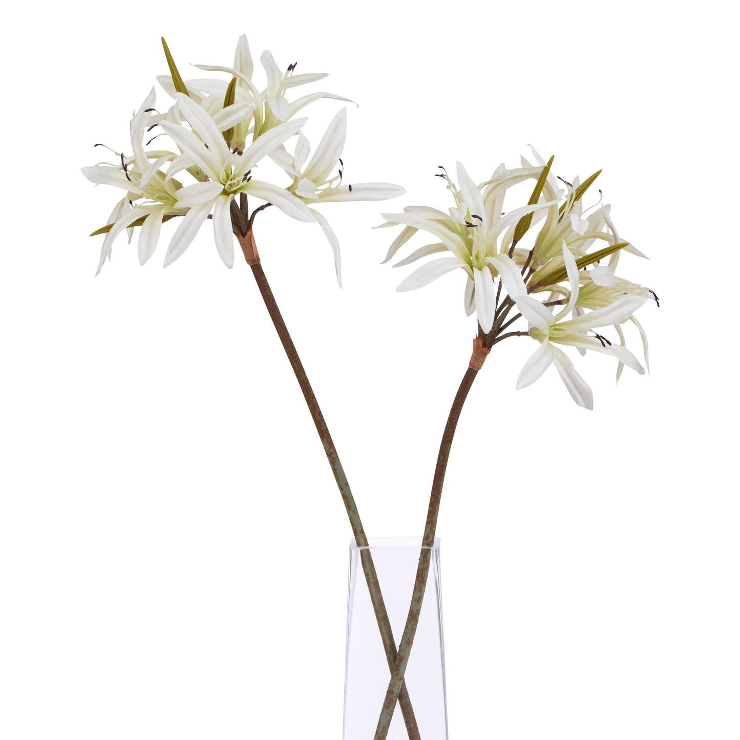 https://www.hill-interiors.com/images/giant/23394-b.jpg