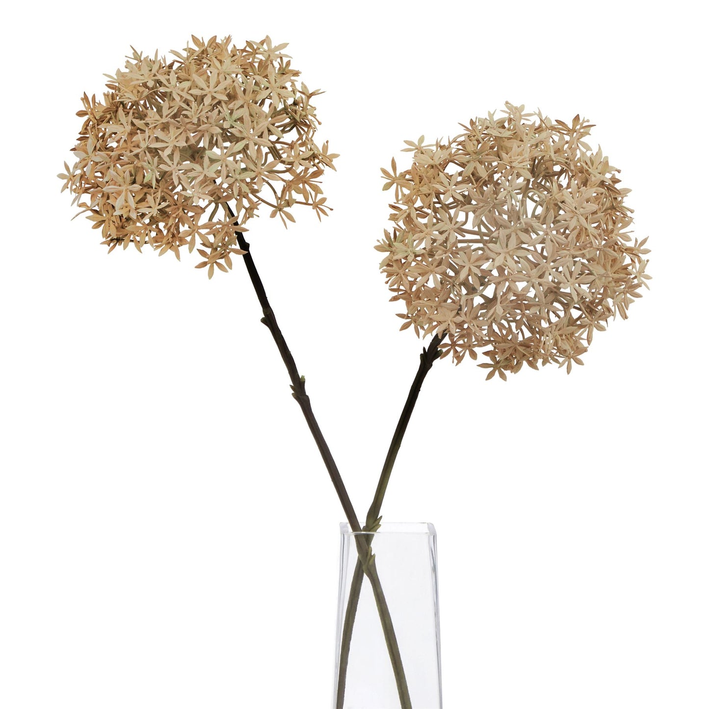 https://www.hill-interiors.com/images/giant/23405-b.jpg