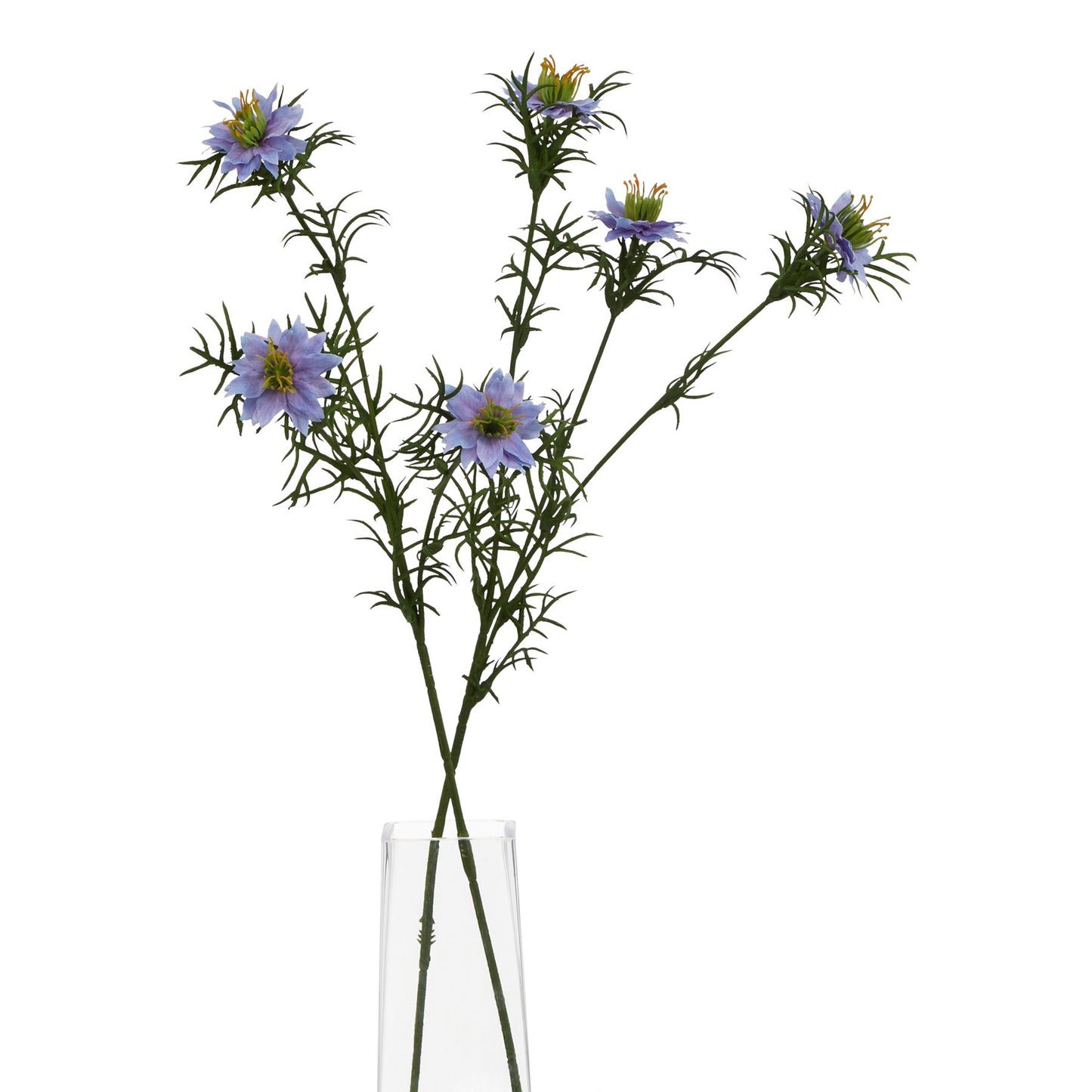 https://www.hill-interiors.com/images/giant/23421-b.jpg