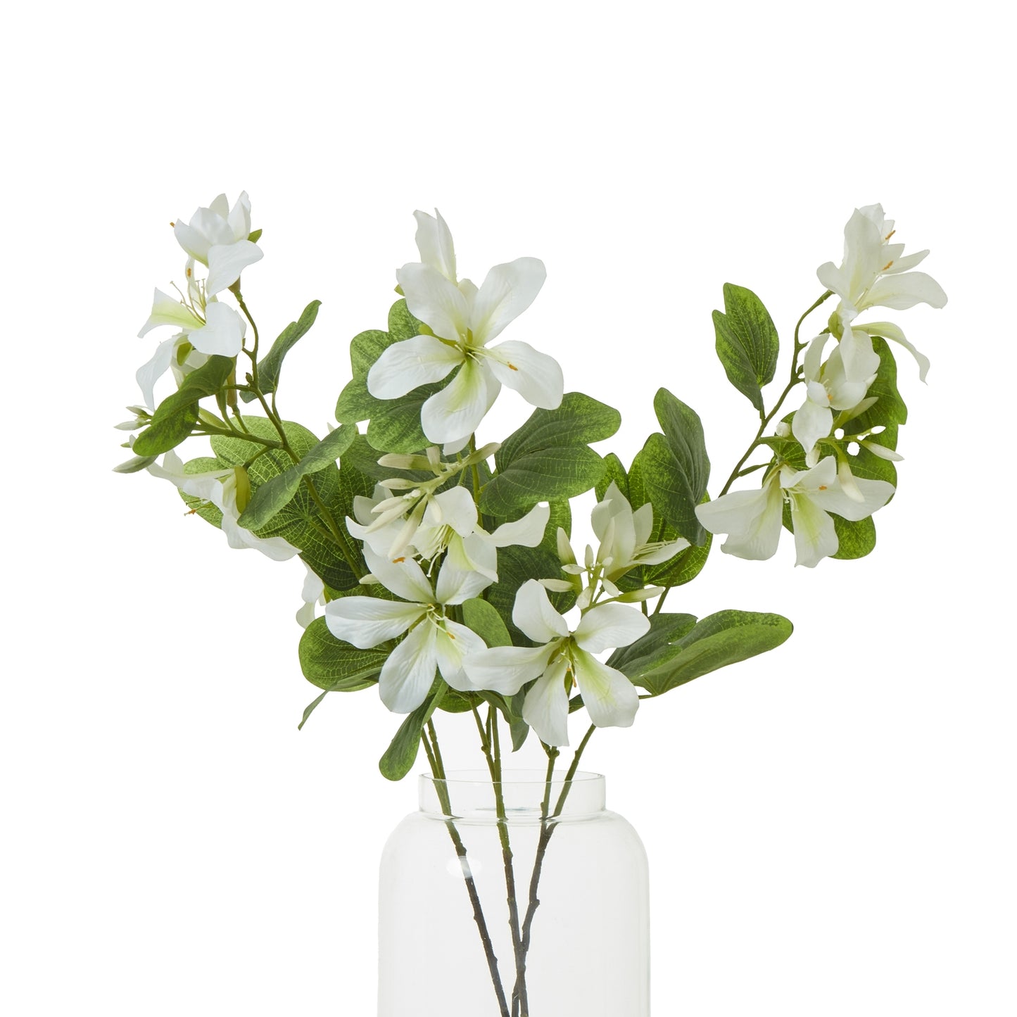 https://www.hill-interiors.com/images/giant/23812-b.jpg