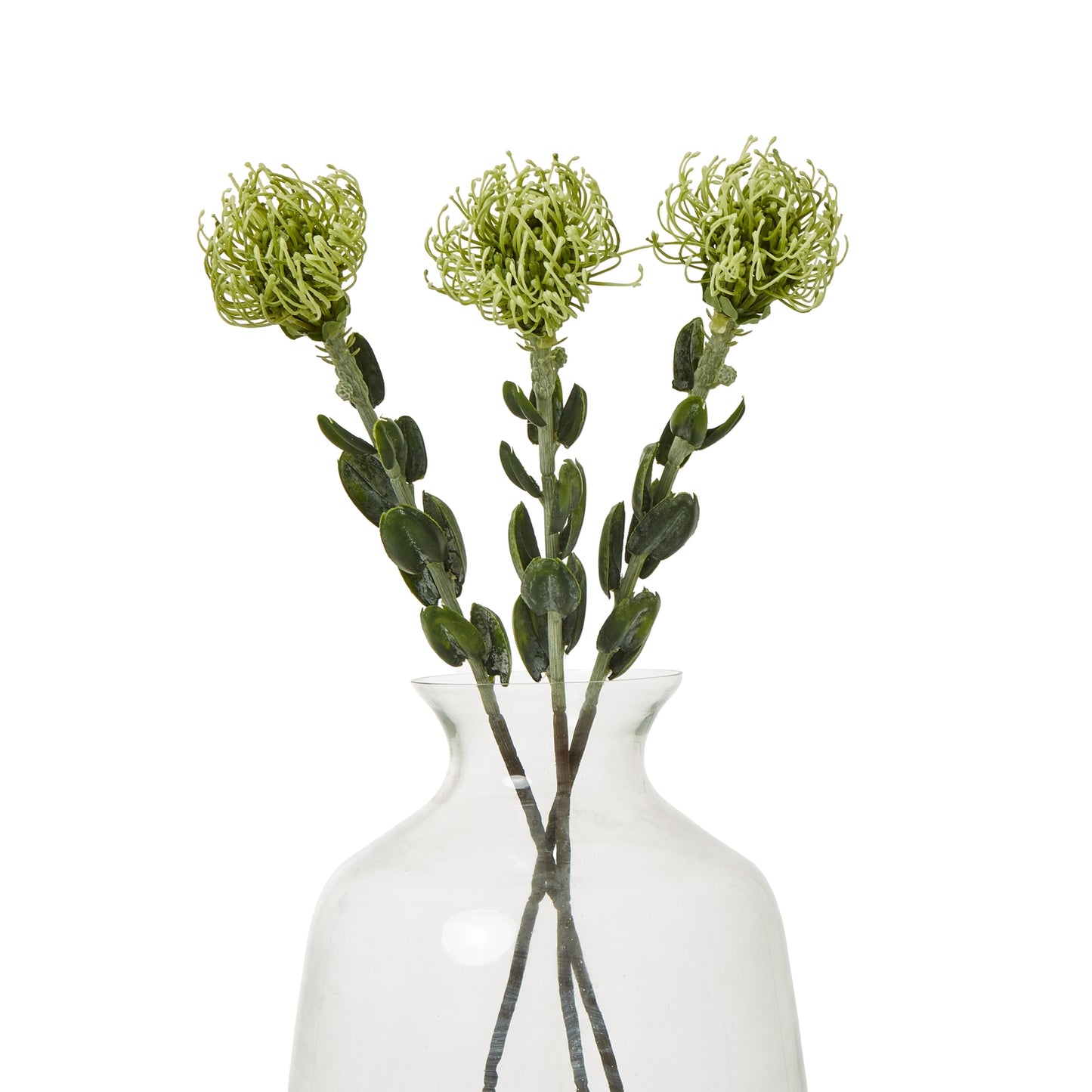 https://www.hill-interiors.com/images/giant/23838-b.jpg