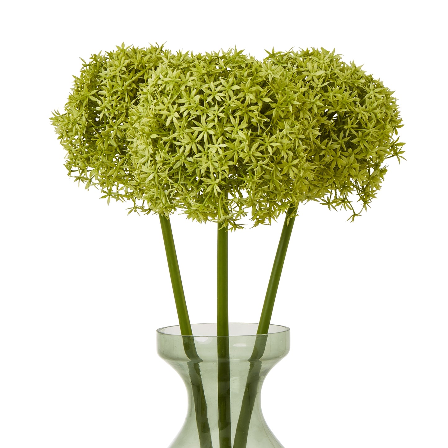 https://www.hill-interiors.com/images/giant/23857-b.jpg