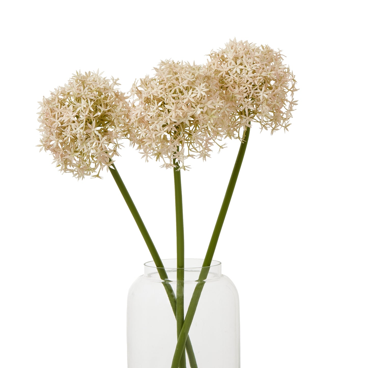 https://www.hill-interiors.com/images/giant/23859-b.jpg