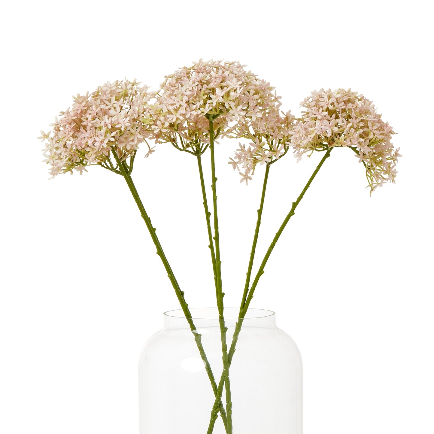 https://www.hill-interiors.com/images/giant/23864-b.jpg