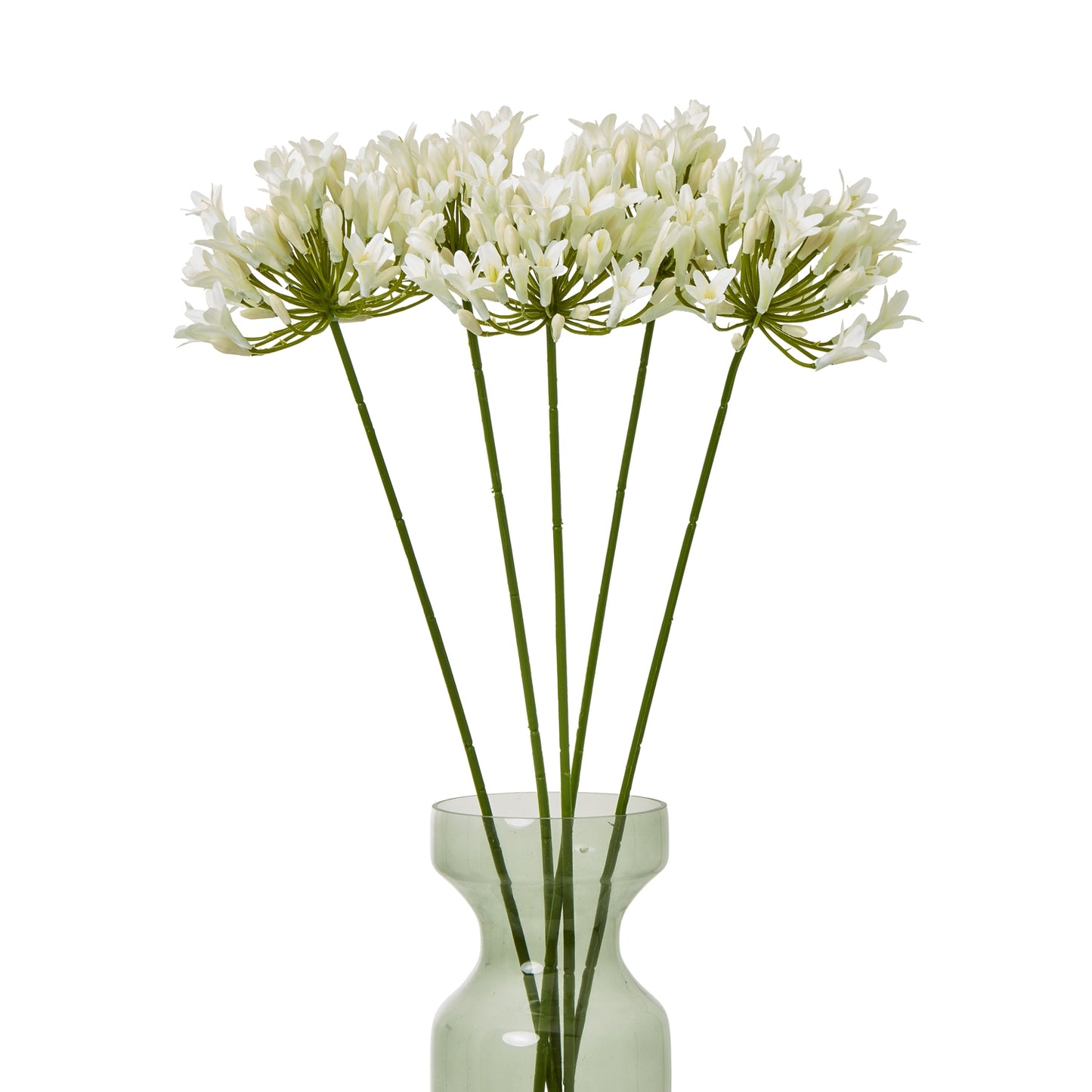 https://www.hill-interiors.com/images/giant/23868-b.jpg