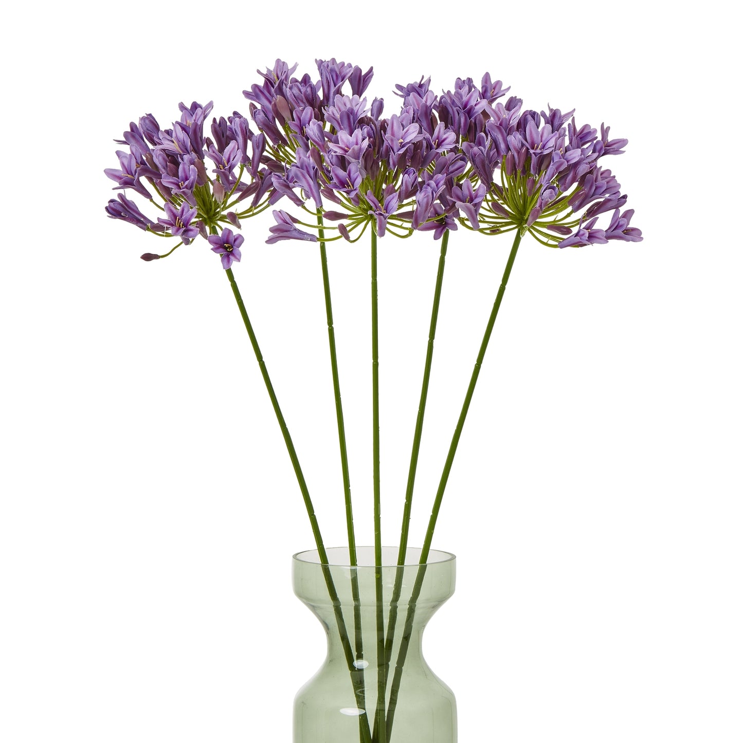https://www.hill-interiors.com/images/giant/23869-b.jpg
