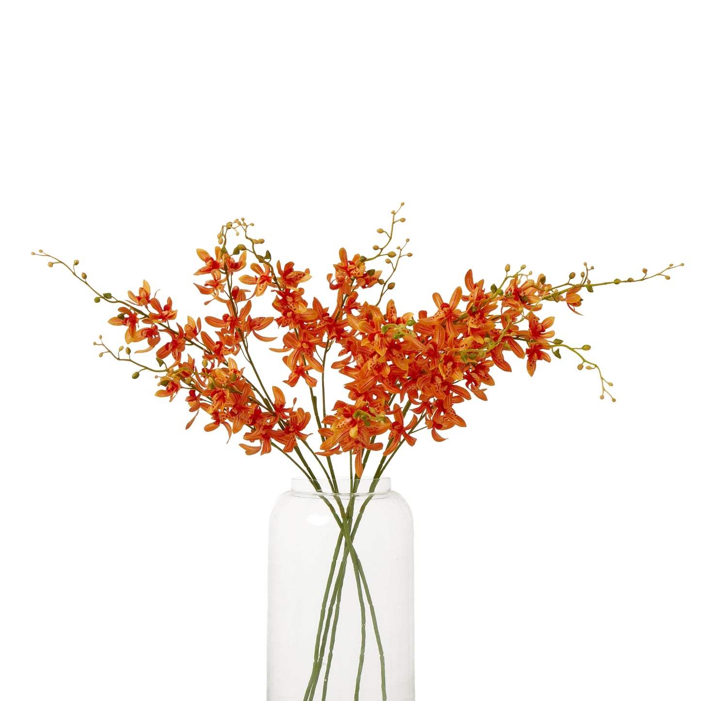https://www.hill-interiors.com/images/giant/23871-b.jpg