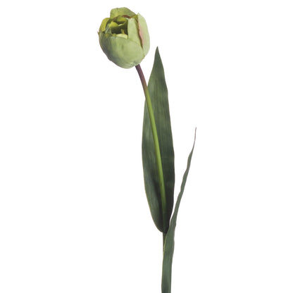 https://www.hill-interiors.com/images/giant/20112-b.jpg