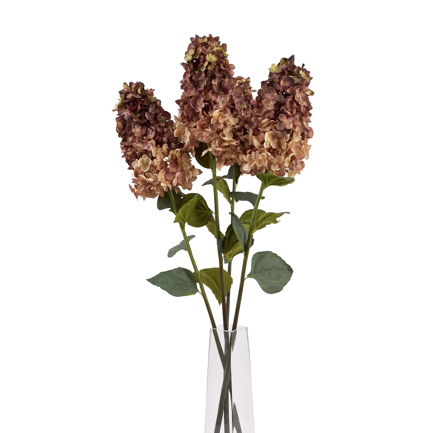 https://www.hill-interiors.com/images/giant/22623-d.jpg