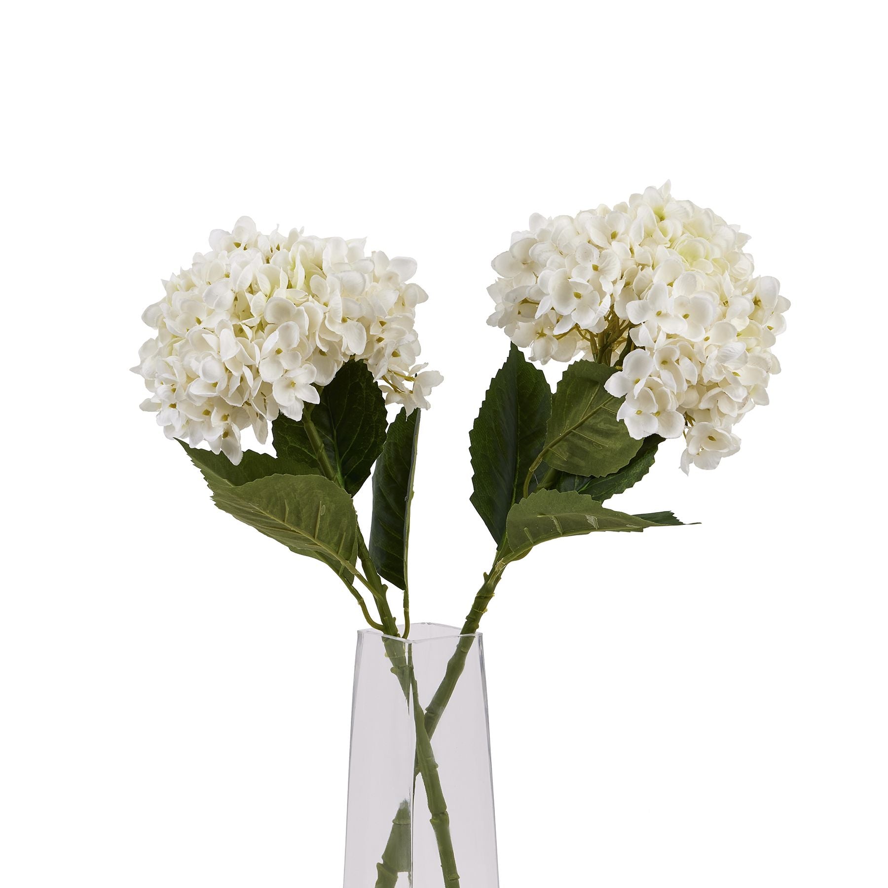 https://www.hill-interiors.com/images/giant/22632-d.jpg