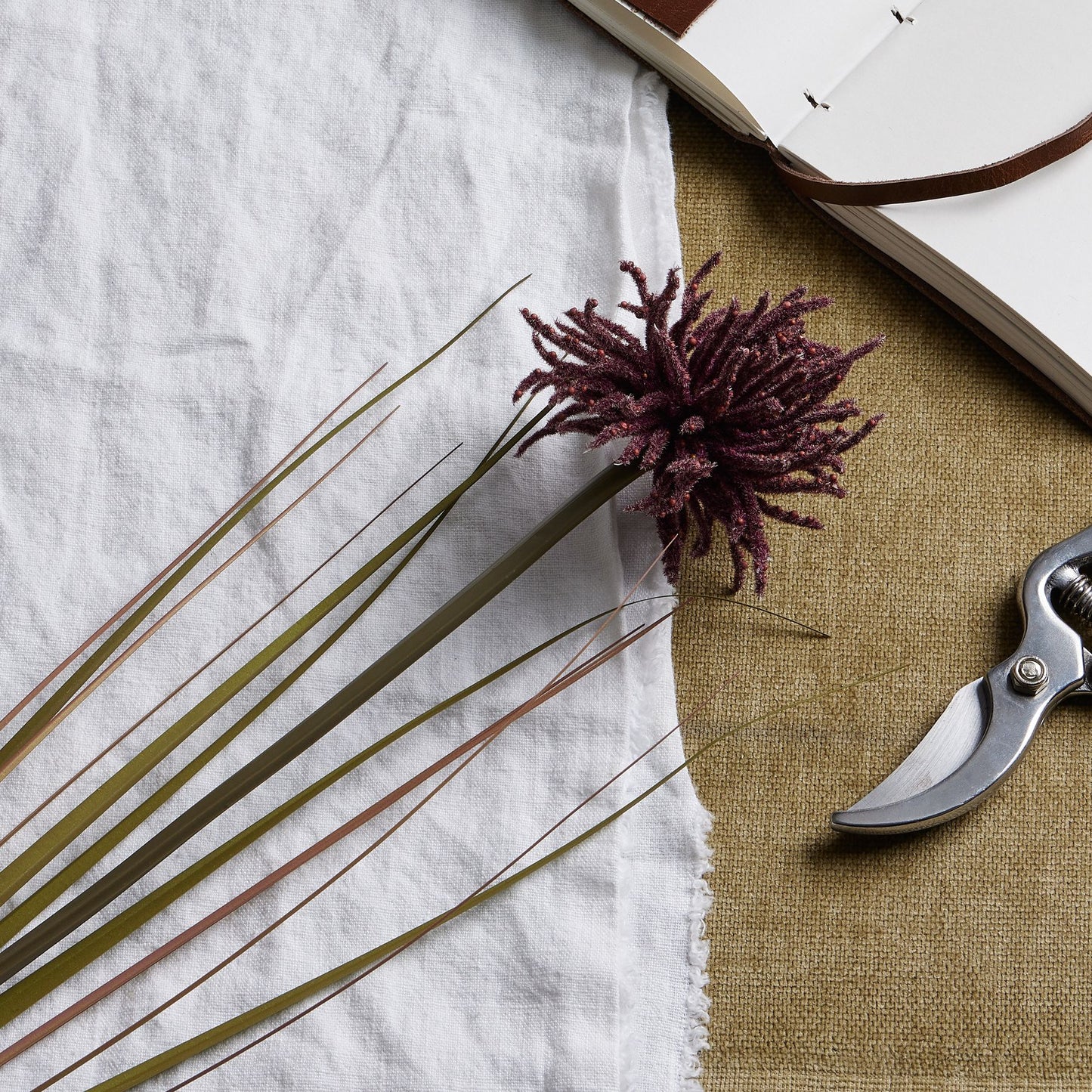 Burgundy Aster Spider Chrysanthemum Stem