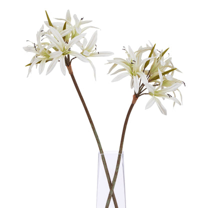 https://www.hill-interiors.com/images/giant/23394-b.jpg