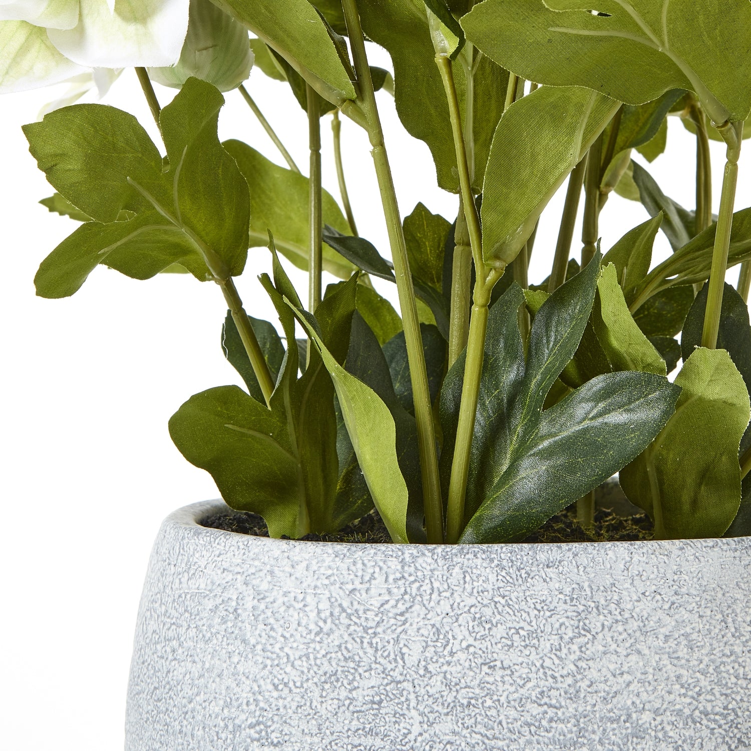 https://www.hill-interiors.com/images/giant/23764-c.jpg