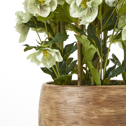 https://www.hill-interiors.com/images/giant/23766-c.jpg
