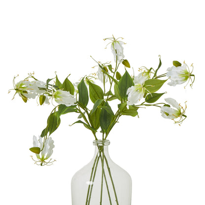 https://www.hill-interiors.com/images/giant/23817-b.jpg