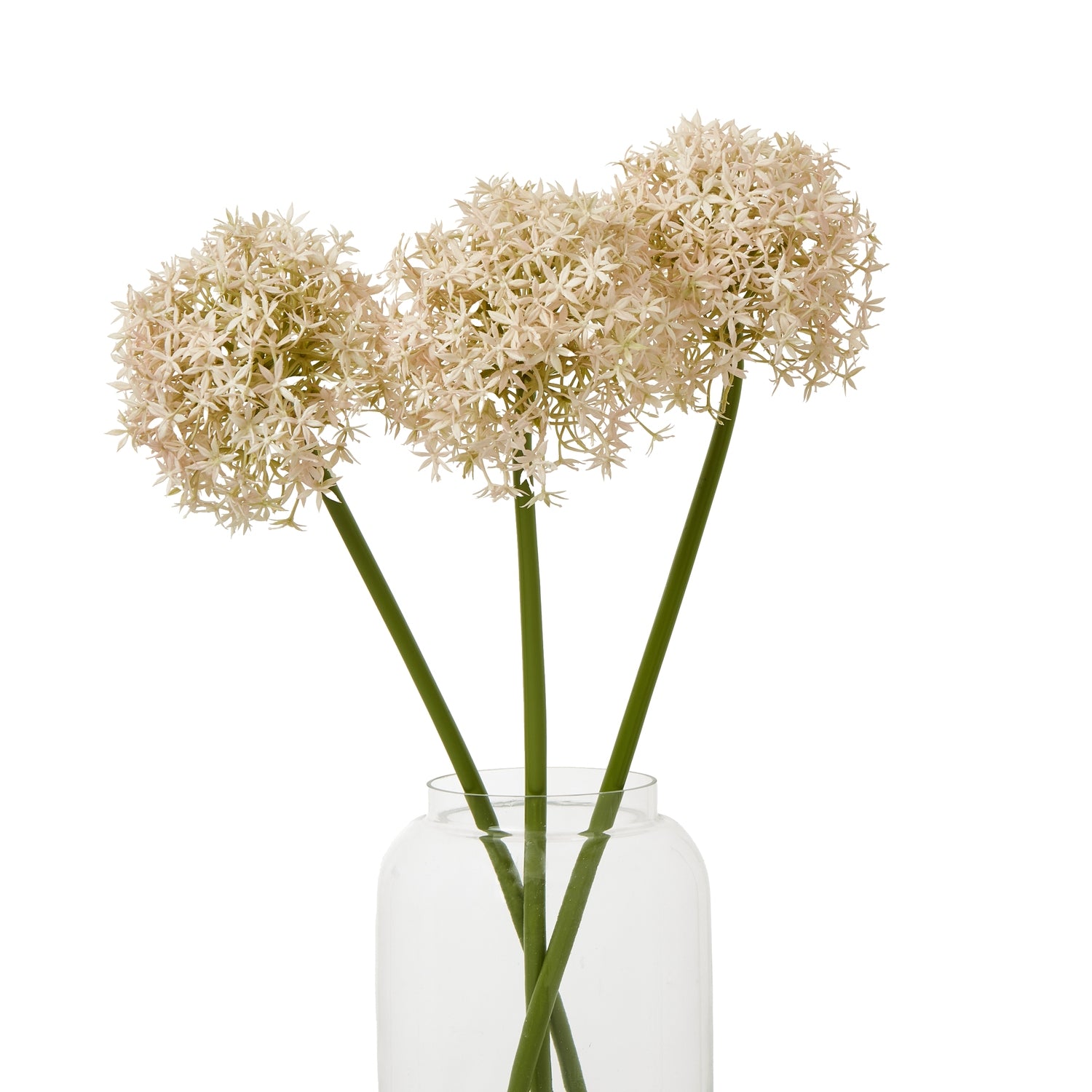 https://www.hill-interiors.com/images/giant/23859-b.jpg