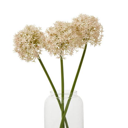 https://www.hill-interiors.com/images/giant/23859-b.jpg