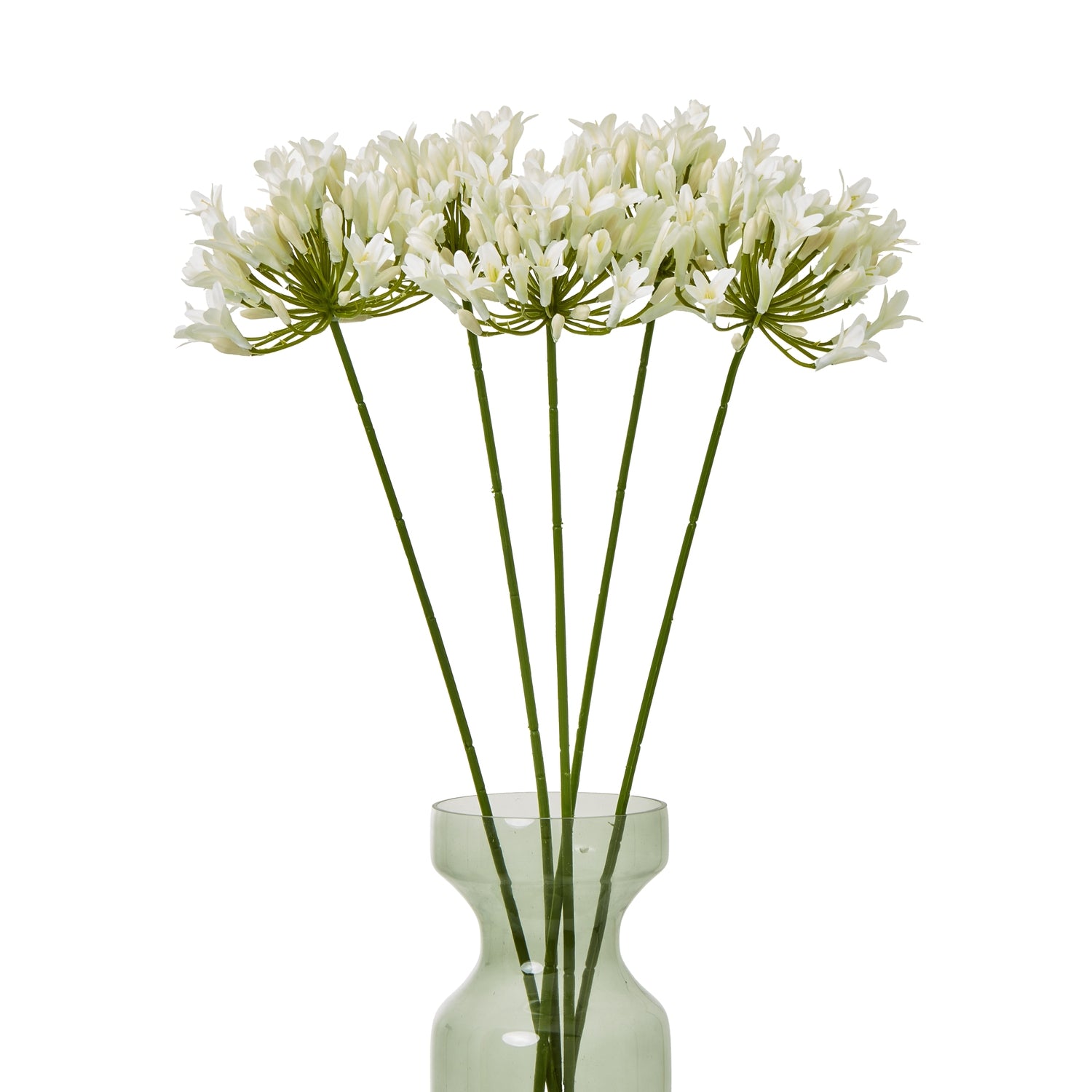 https://www.hill-interiors.com/images/giant/23868-b.jpg