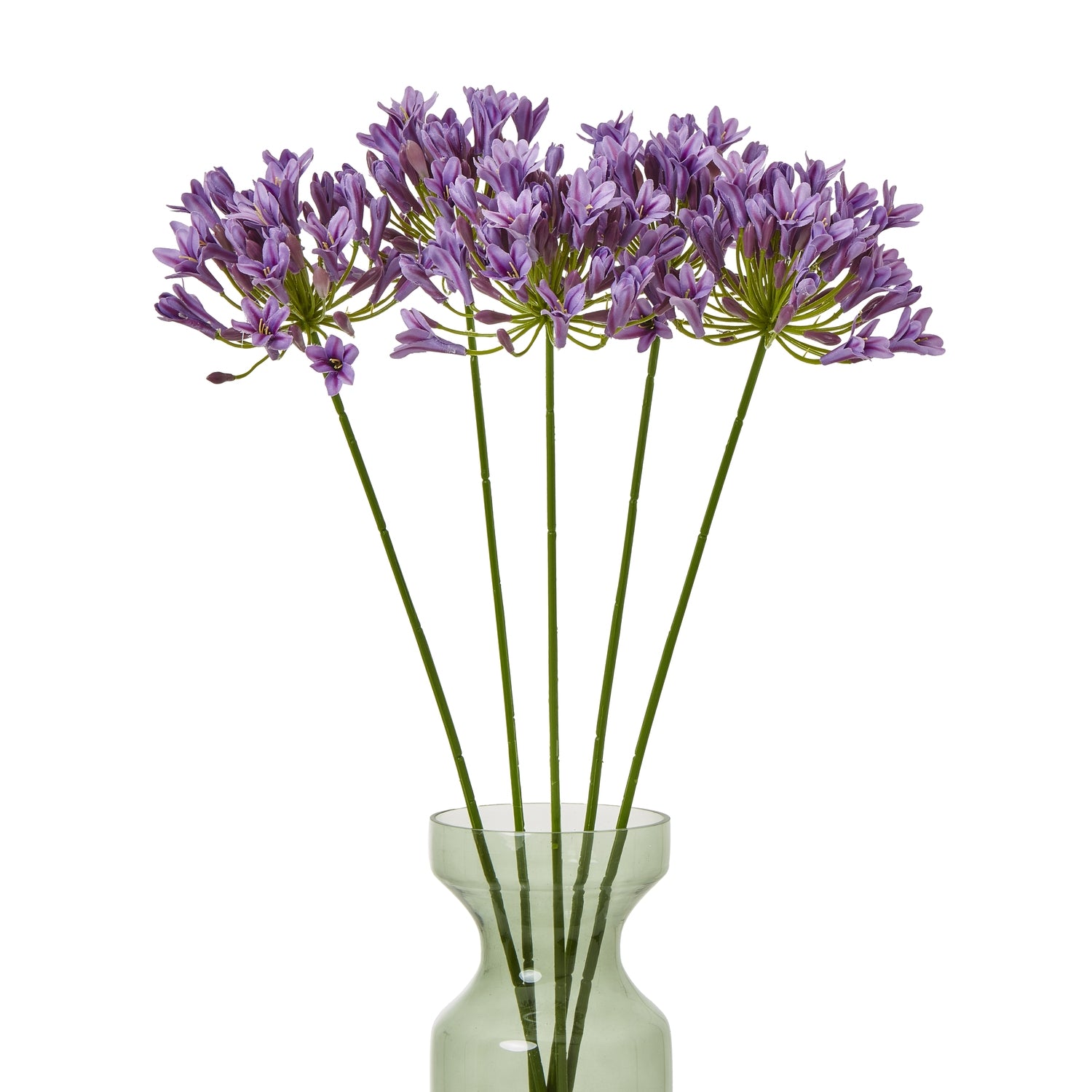 https://www.hill-interiors.com/images/giant/23869-b.jpg